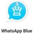 WhatsApp Blue.jpg